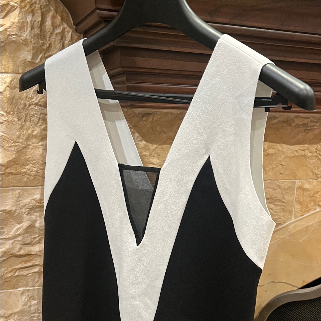 Zara Black And White Backless Dress